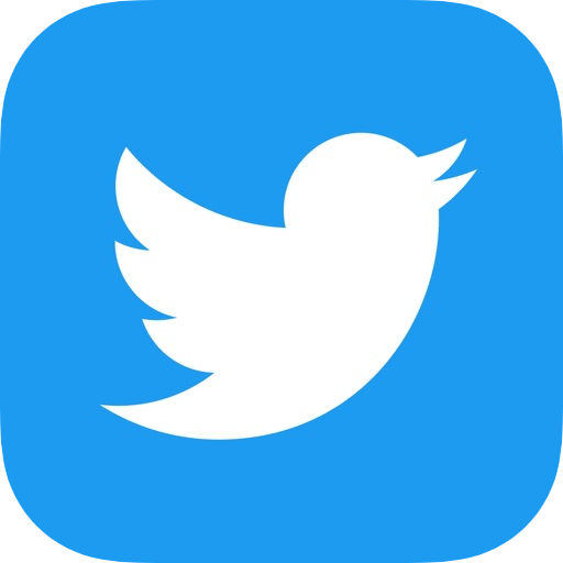 Twitter推特老号2009一2019 带100粉